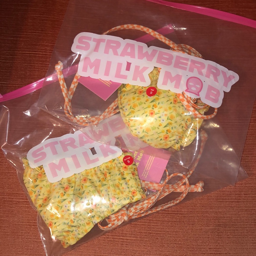 NWT Strawberry Milk Mob Buttercup Bikini